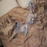 東北出身24歳の派遣社員　典型的な東京の貧困ＯＬ・・・だと思う。