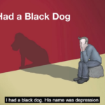 黒い犬を飼い始めてしまいました・・・
