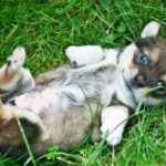 メンヘラ美少女　よく寝る女